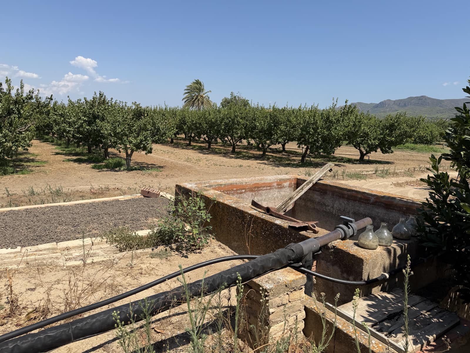 1 camera da letto Finca/Casa di Campagna in vendita in Ginestar - 68.000 € (Rif: 10004858)