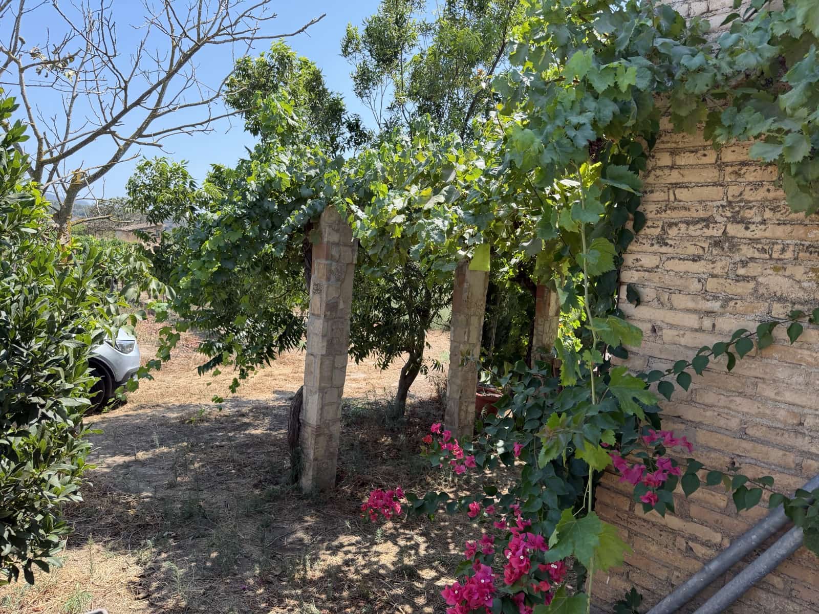 1 camera da letto Finca/Casa di Campagna in vendita in Ginestar - 68.000 € (Rif: 10004858)