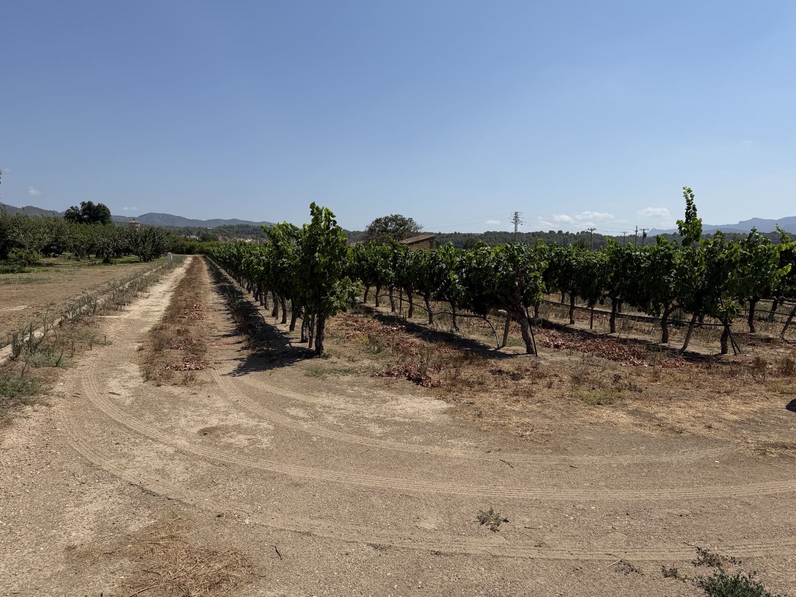 1 camera da letto Finca/Casa di Campagna in vendita in Ginestar - 68.000 € (Rif: 10004858)