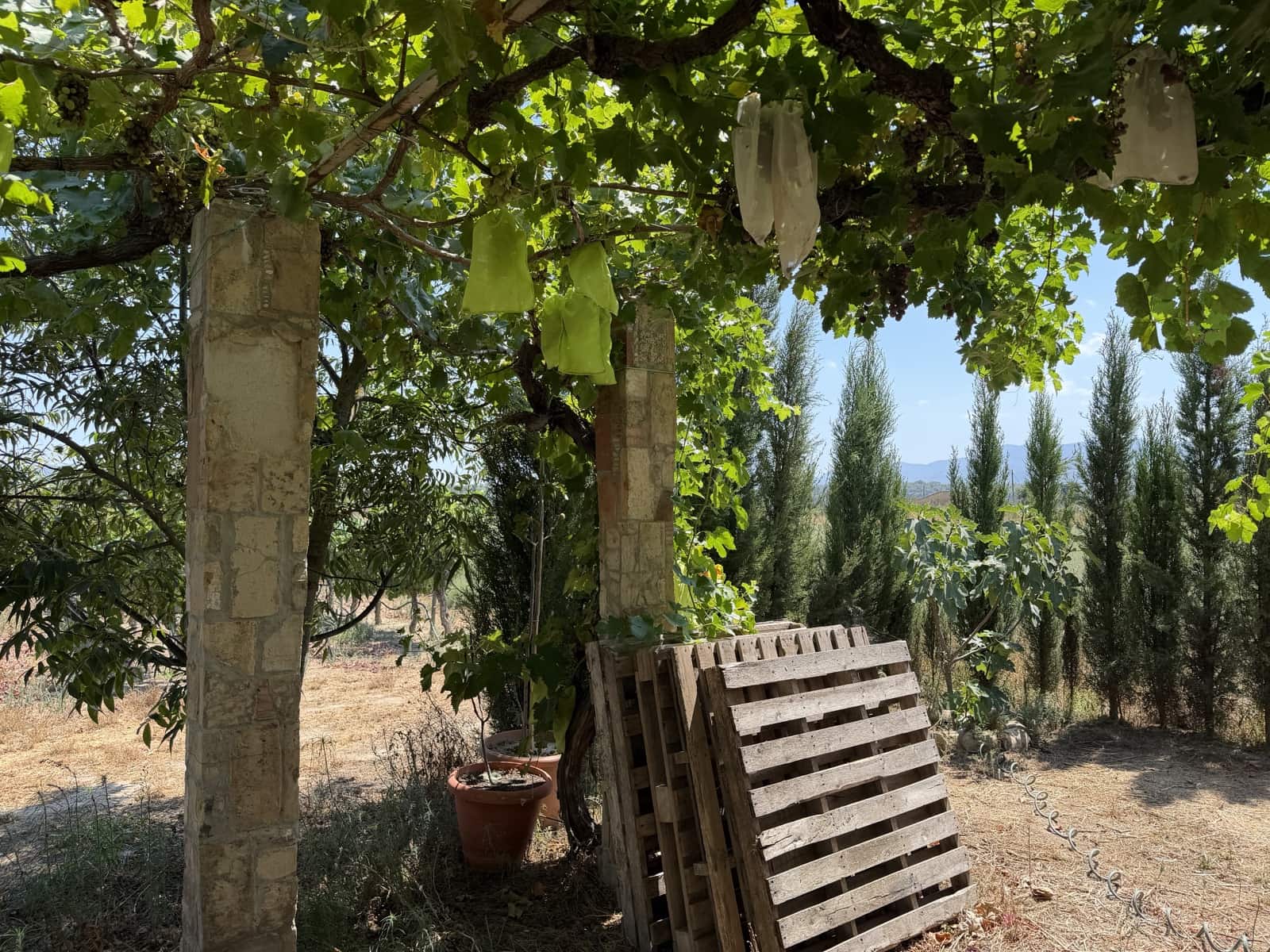 1 camera da letto Finca/Casa di Campagna in vendita in Ginestar - 68.000 € (Rif: 10004858)