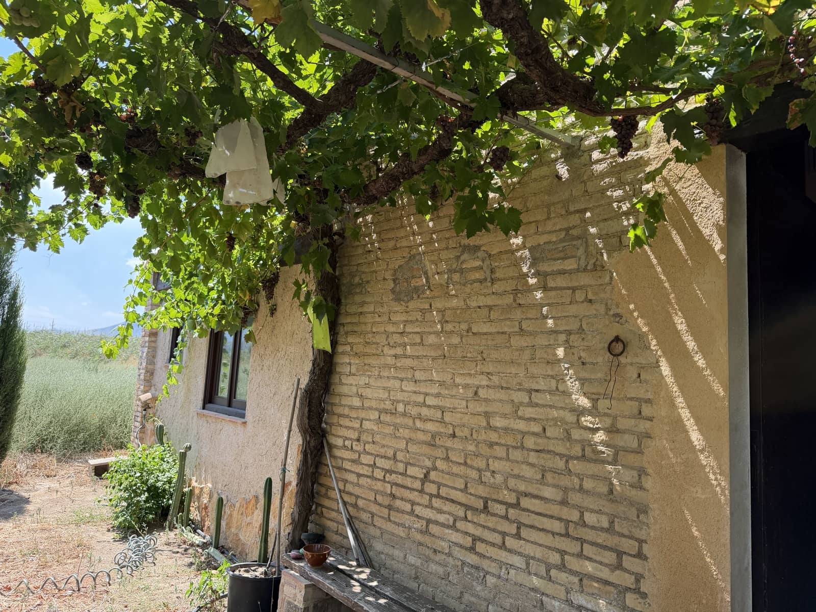 1 camera da letto Finca/Casa di Campagna in vendita in Ginestar - 68.000 € (Rif: 10004858)