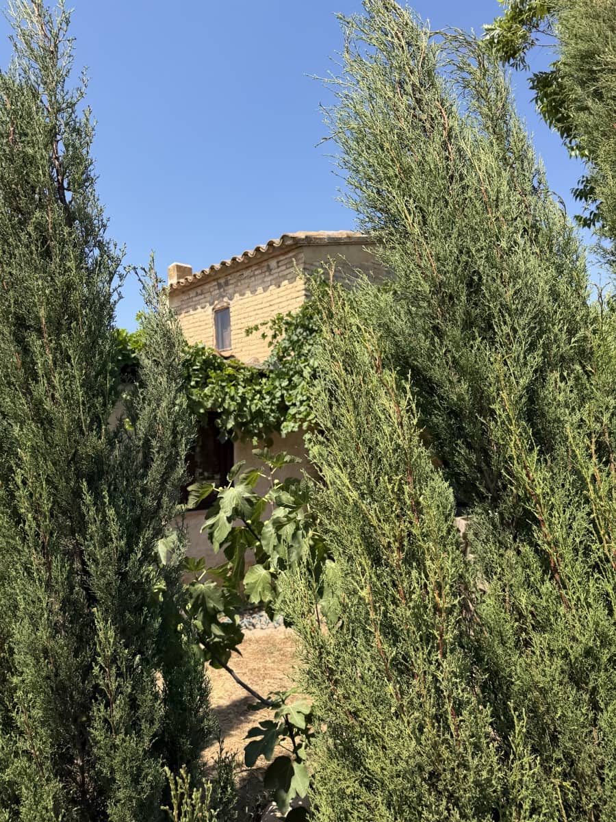 1 camera da letto Finca/Casa di Campagna in vendita in Ginestar - 68.000 € (Rif: 10004858)
