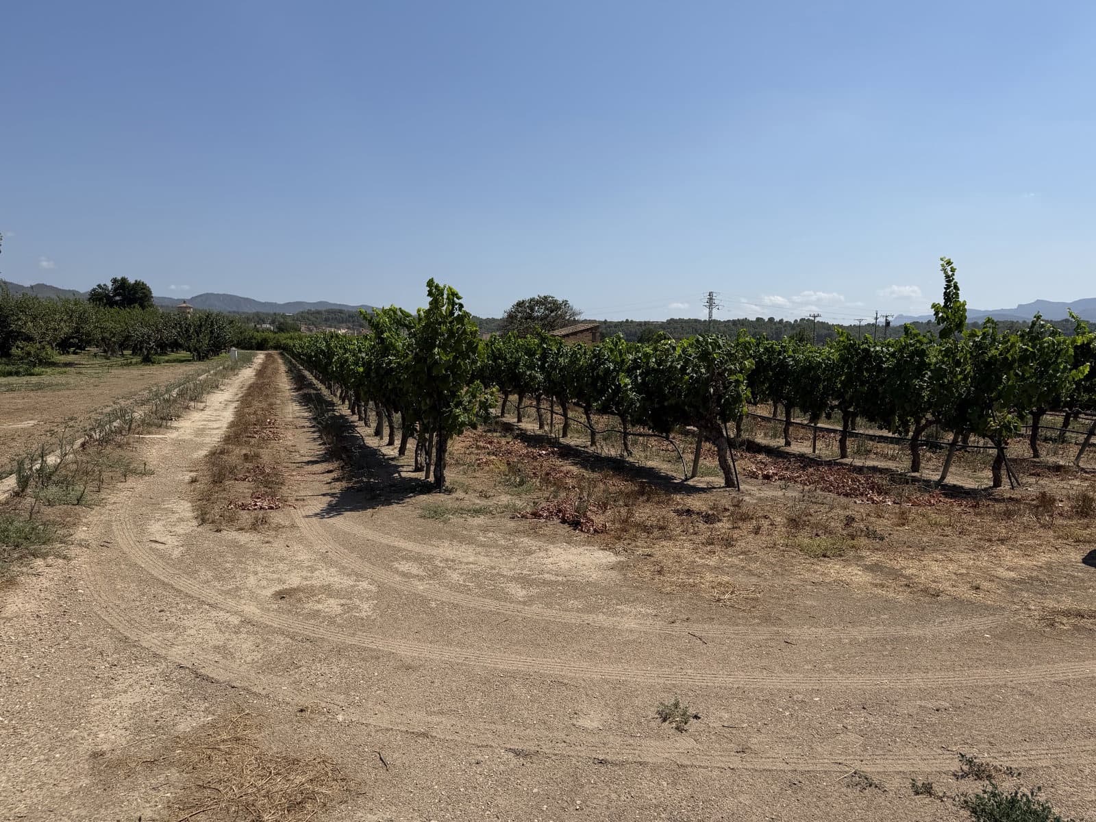 Finca/Casa Rural de 1 habitación en Ginestar en venta - 68.000 € (Ref: 10004858)