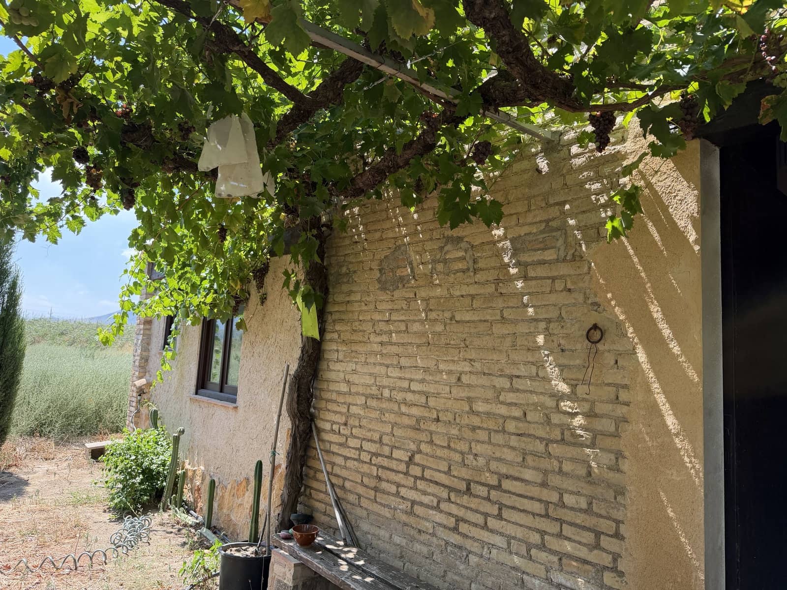 Finca/Casa Rural de 1 habitación en Ginestar en venta - 68.000 € (Ref: 10004858)