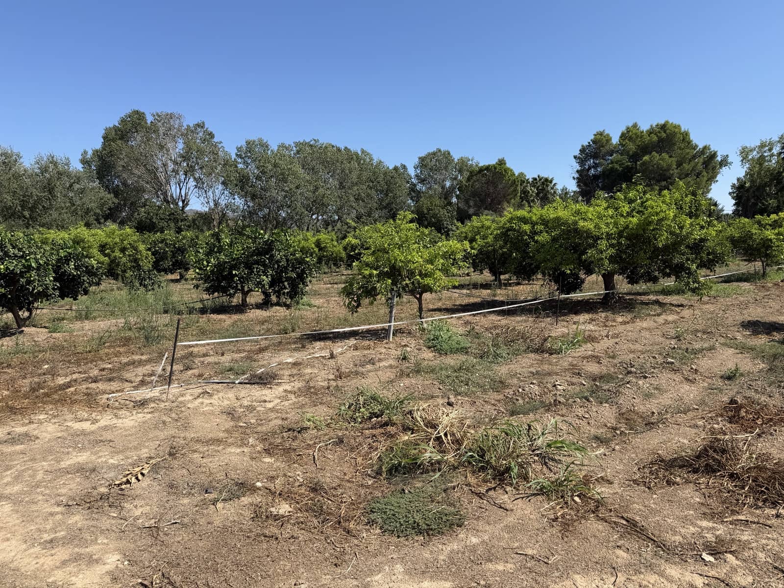 Finca/Landhuis te koop in Aldover - € 30.000 (Ref: 10038541)