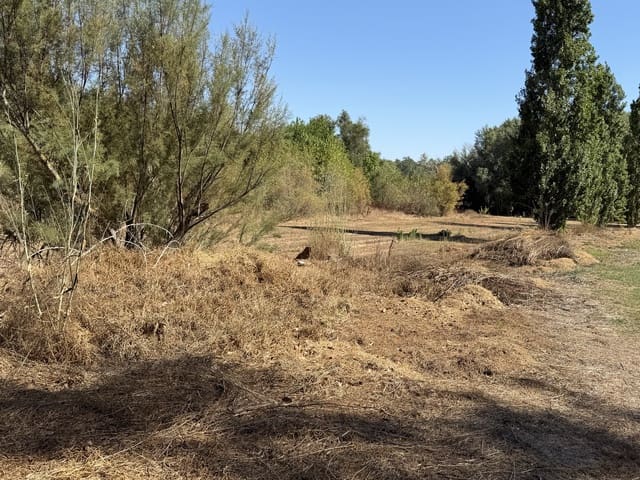 Finca/Landhuis te koop in Aldover - € 30.000 (Ref: 10038541)