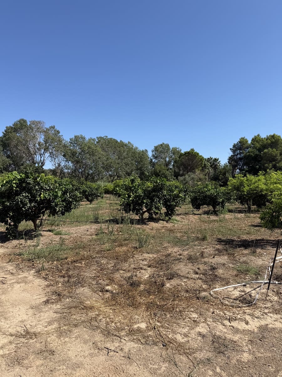 Finca/Landhuis te koop in Aldover - € 30.000 (Ref: 10038541)