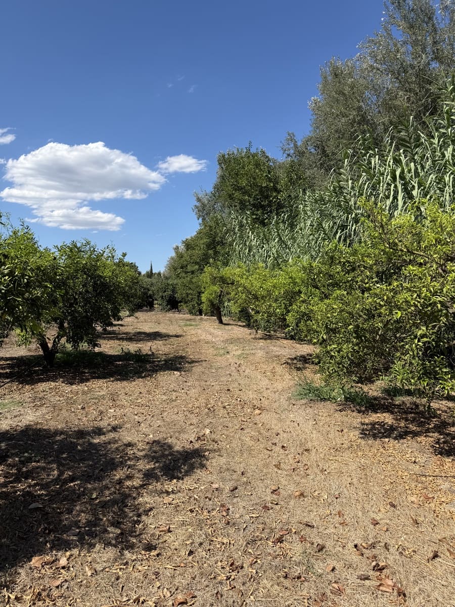 Finca/Landhuis te koop in Aldover - € 30.000 (Ref: 10038541)