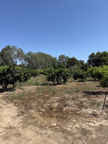 Finca/Landhuis te koop in Aldover - € 30.000 (Ref: 10038541)
