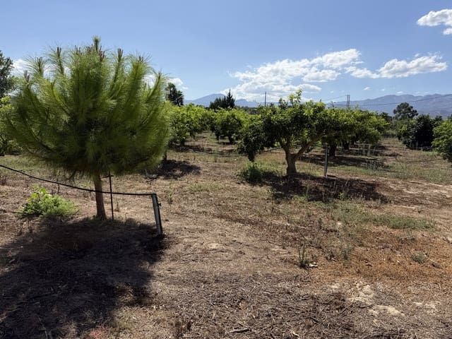 Finca/Maison de Campagne à vendre à Aldover - 30 000 € (Ref: 10038541)