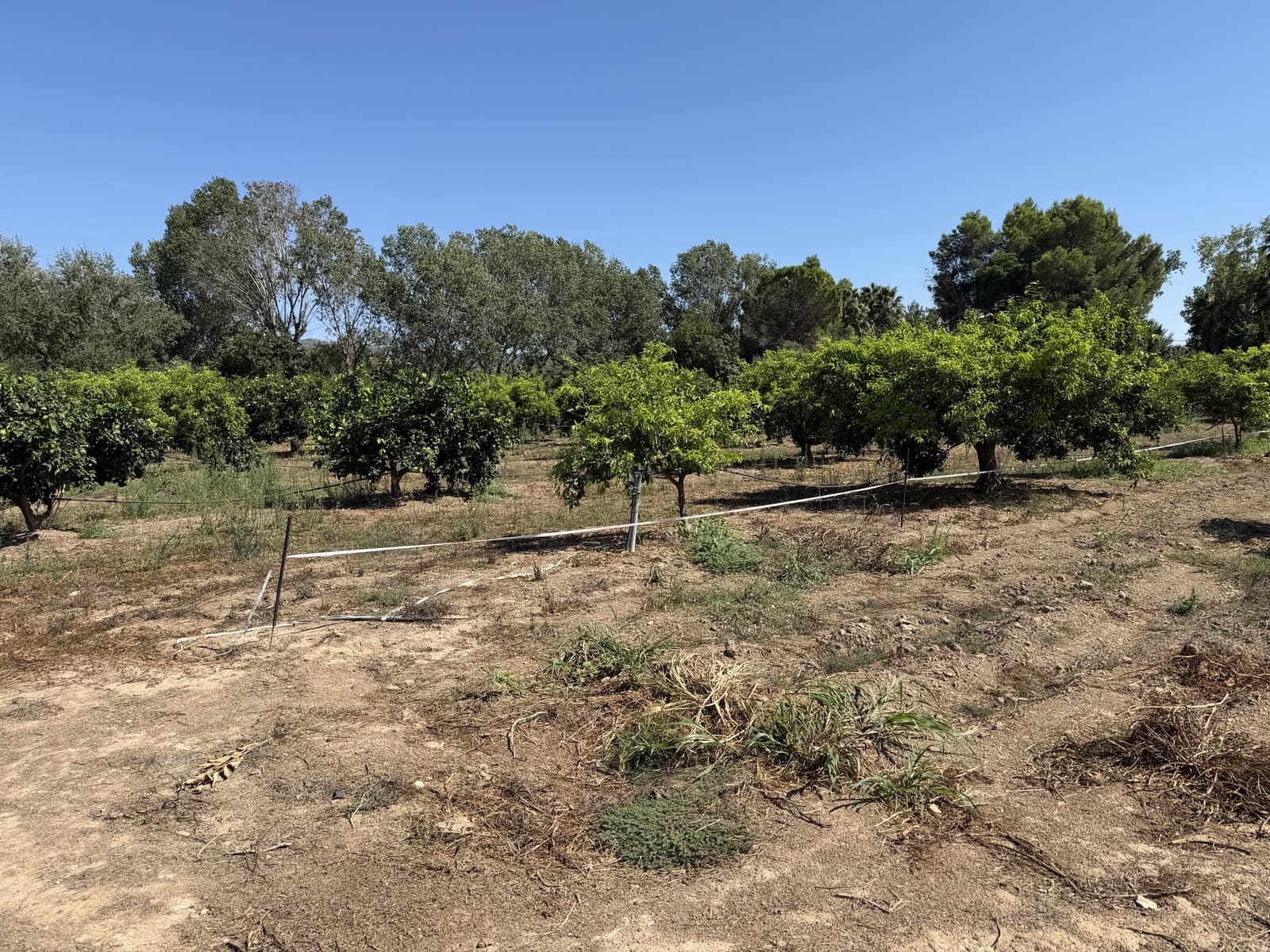 Finca/Country House for sale in Aldover - € 30,000 (Ref: 10038541)
