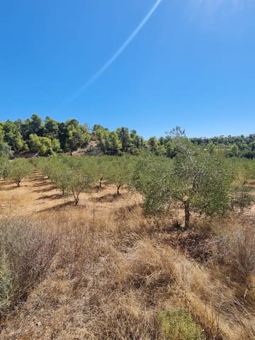 Finca/Casa di Campagna in vendita in Flix - 15.000 € (Rif: 10091444)