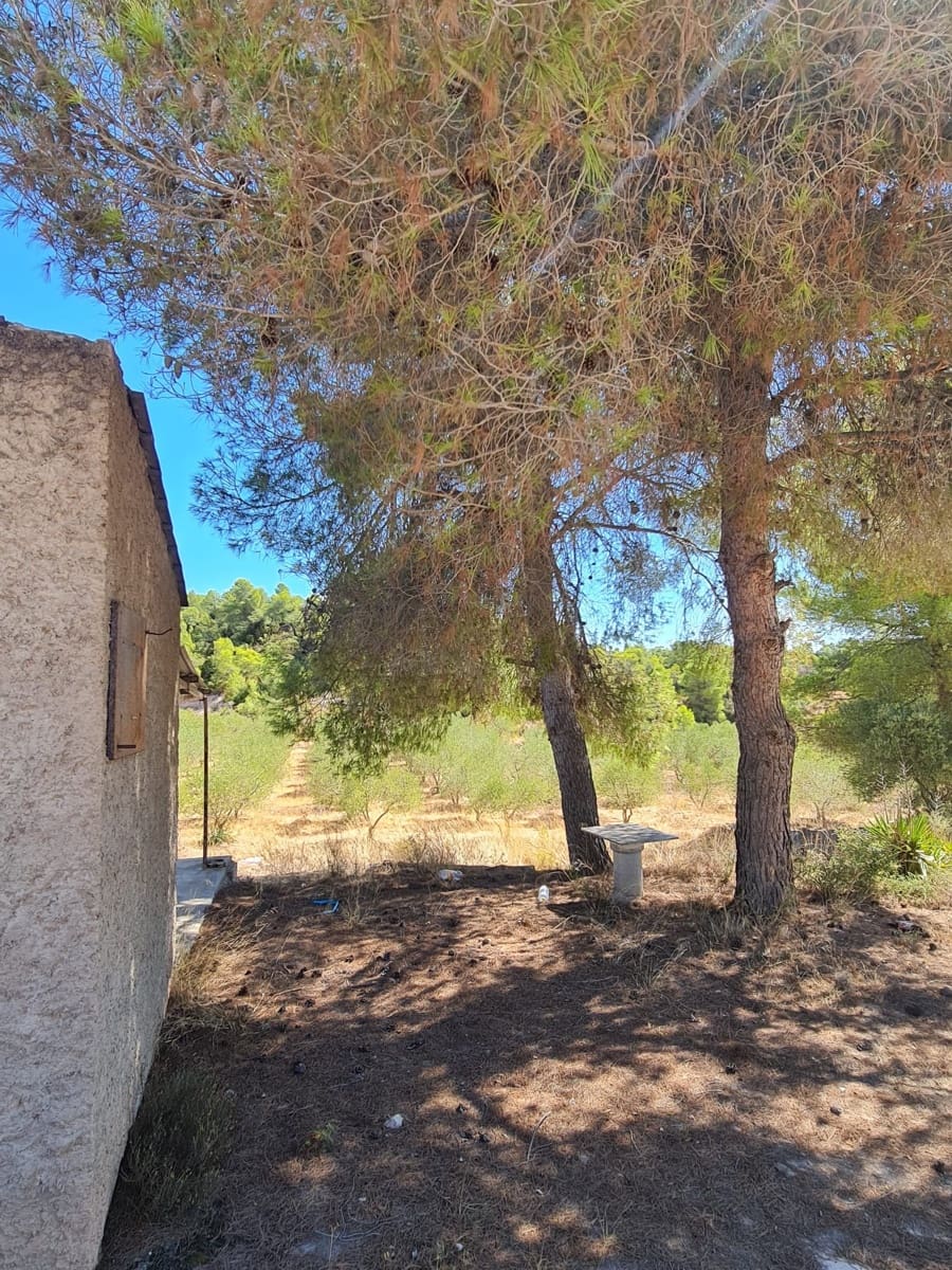 Finca/Casa di Campagna in vendita in Flix - 15.000 € (Rif: 10091444)