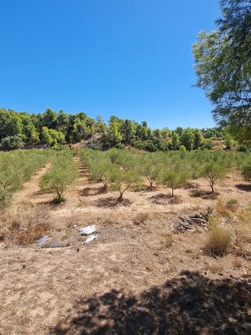 Finca/Casa di Campagna in vendita in Flix - 15.000 € (Rif: 10091444)