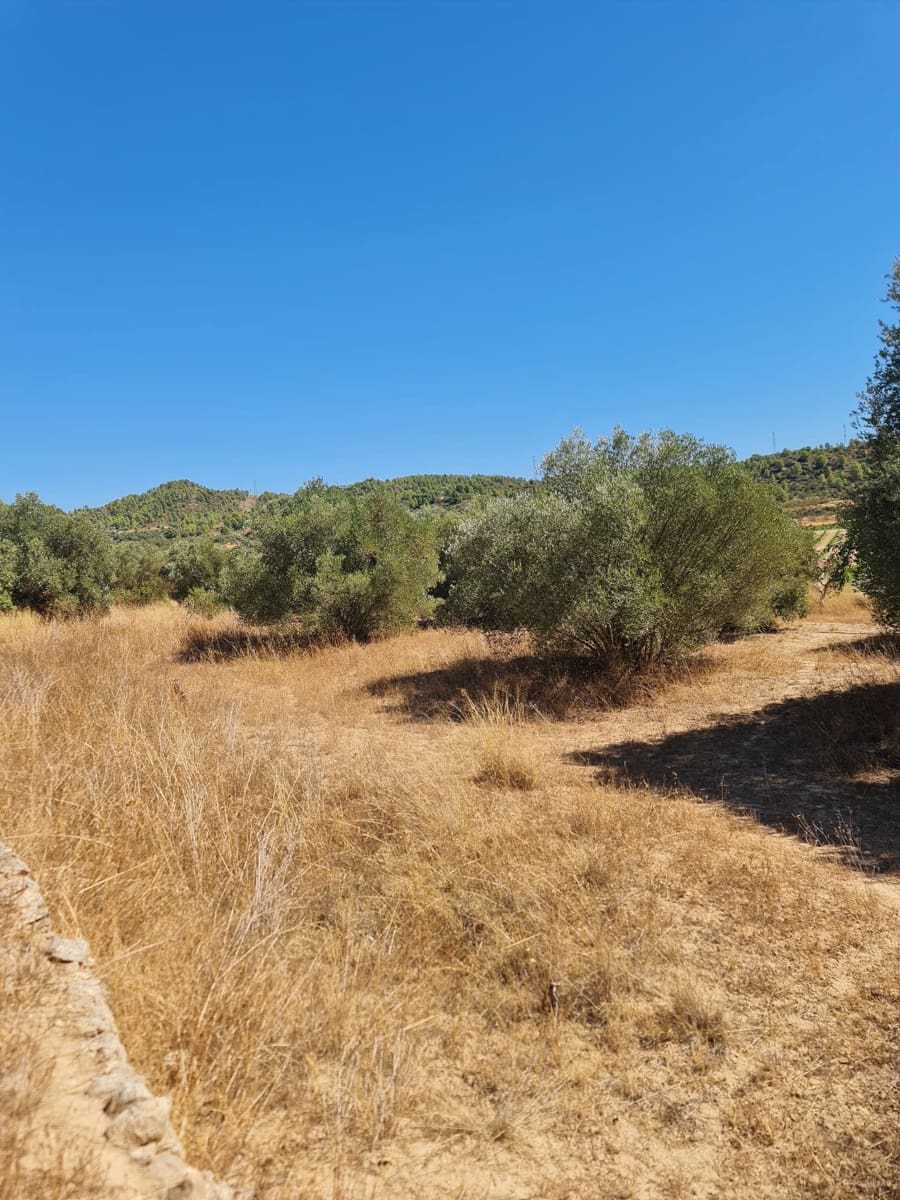 Finca/Casa di Campagna in vendita in Flix - 26.000 € (Rif: 10091445)