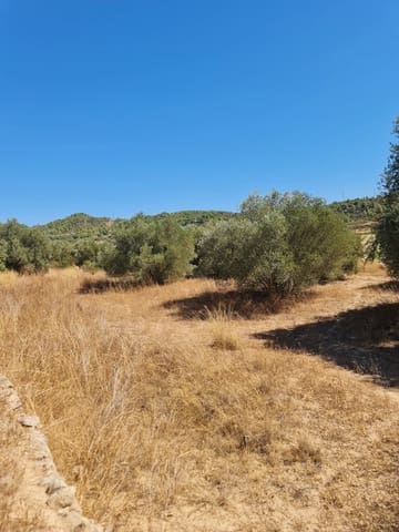 Finca/Casa di Campagna in vendita in Flix - 26.000 € (Rif: 10091445)