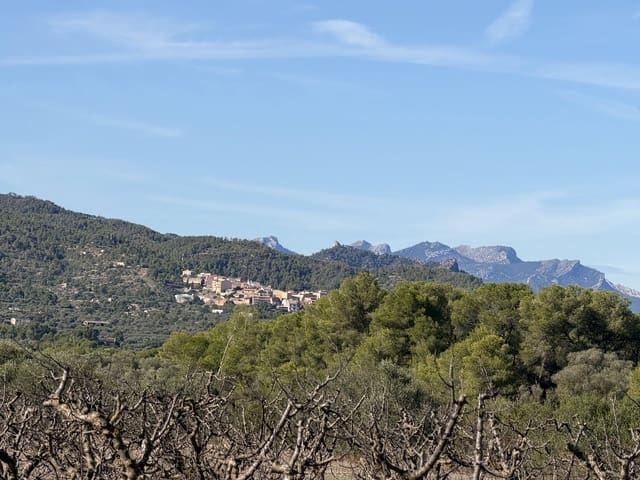 Finca/Landehus til salg i Ginestar - € 10.000 (Ref: 10157422)