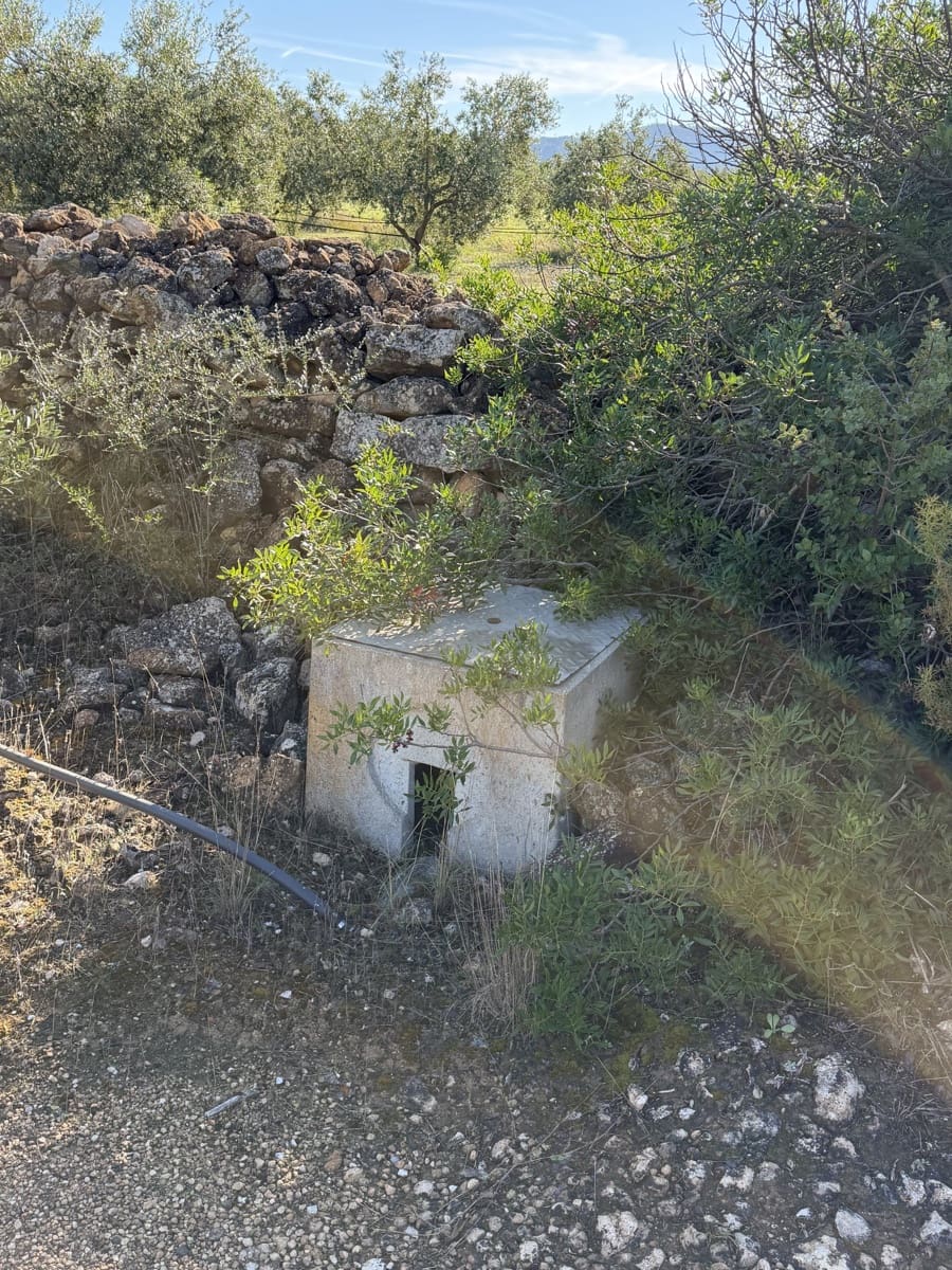 Finca/Landehus til salg i Ginestar - € 10.000 (Ref: 10157422)
