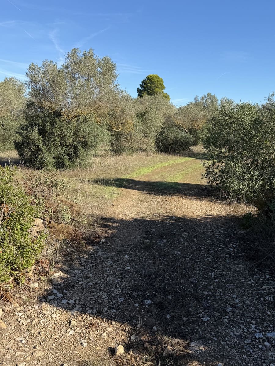 Finca/Landehus til salg i Ginestar - € 10.000 (Ref: 10157422)