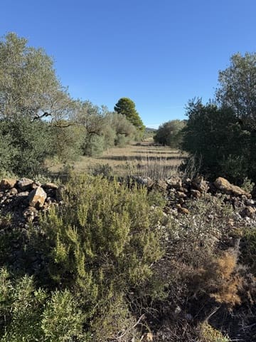 Finca/Landehus til salg i Ginestar - € 10.000 (Ref: 10157422)