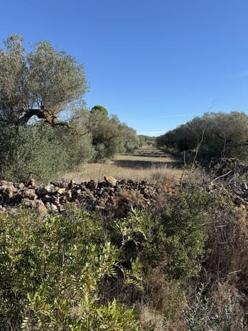 Finca/Landehus til salg i Ginestar - € 10.000 (Ref: 10157422)