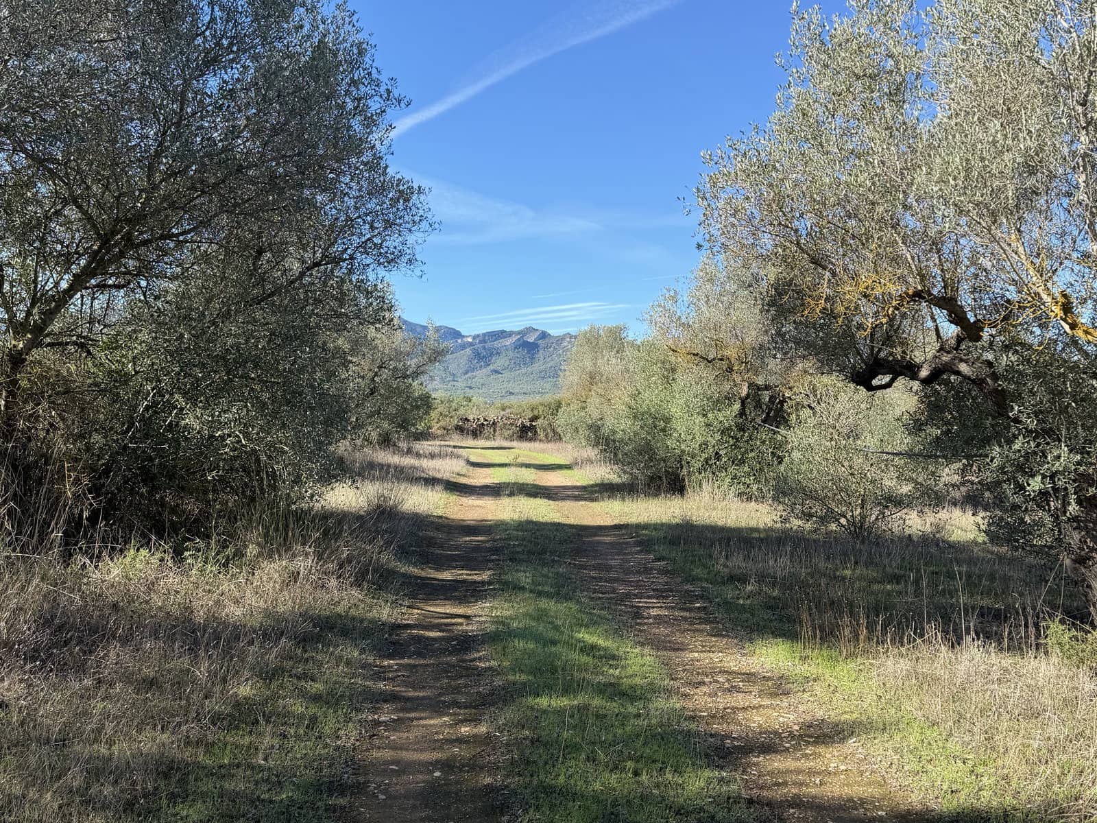 Finca/Landehus til salg i Ginestar - € 10.000 (Ref: 10157422)