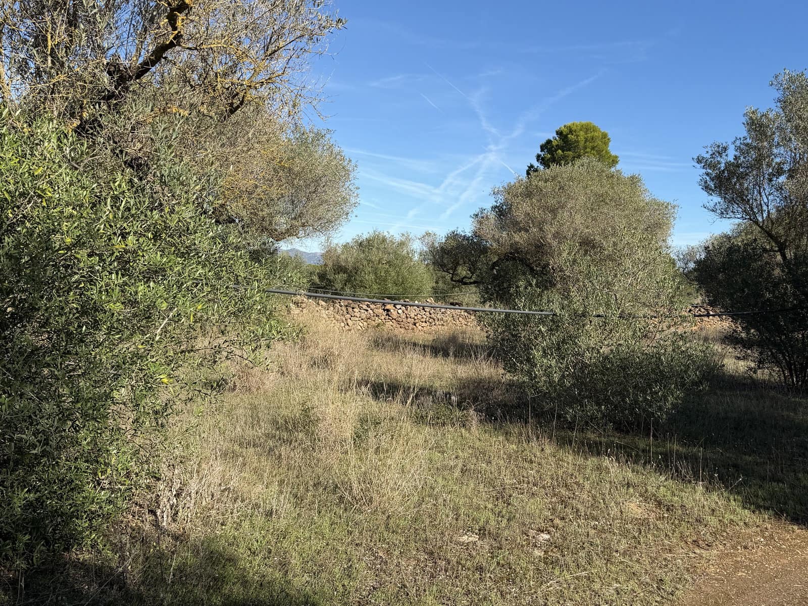 Finca/Landehus til salg i Ginestar - € 10.000 (Ref: 10157422)