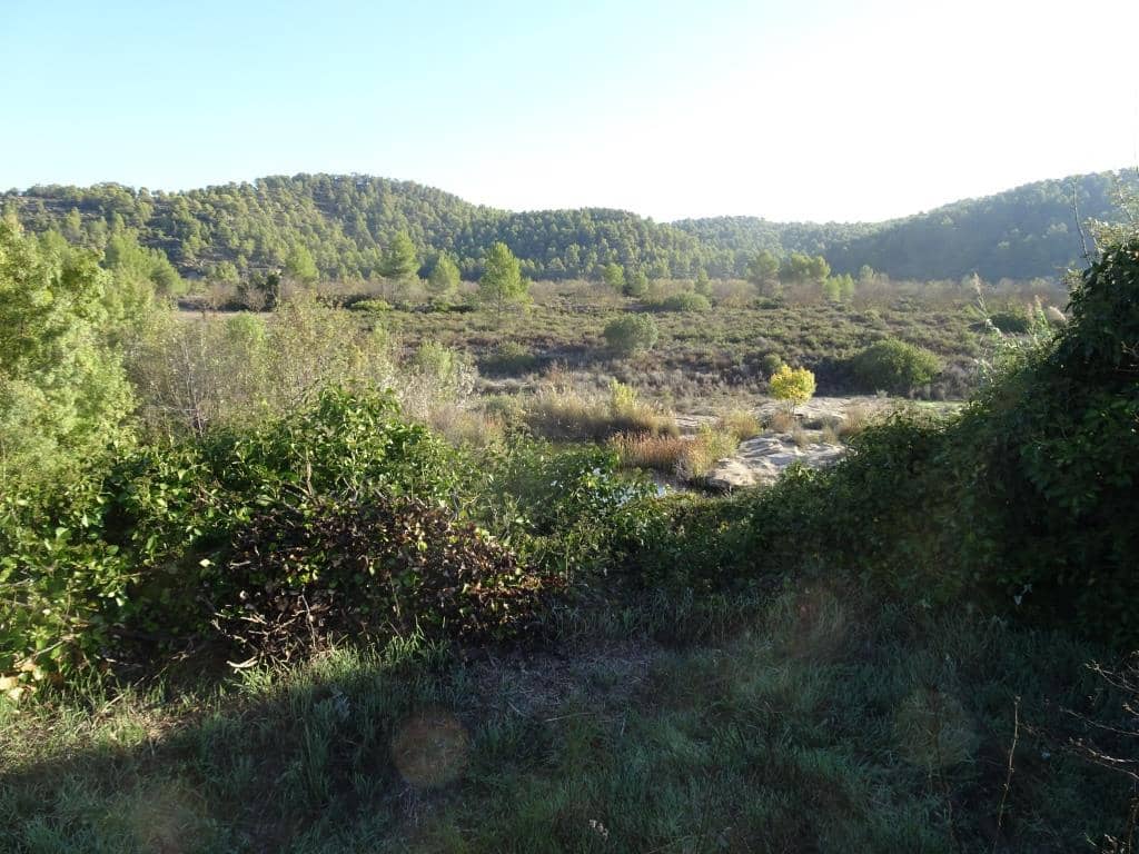 Finca/Country House for sale in Arens de Lledo - € 30,000 (Ref: 10165418)