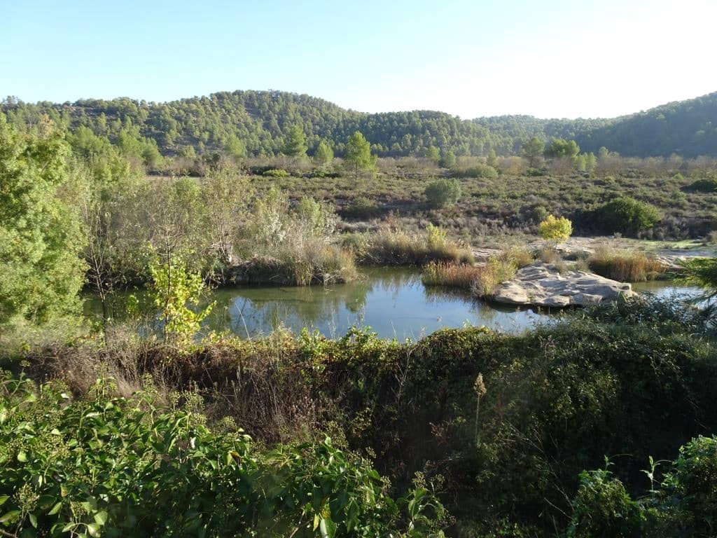 Finca/Country House for sale in Arens de Lledo - € 30,000 (Ref: 10165418)