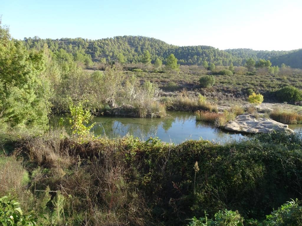 Finca/Country House for sale in Arens de Lledo - € 30,000 (Ref: 10165418)
