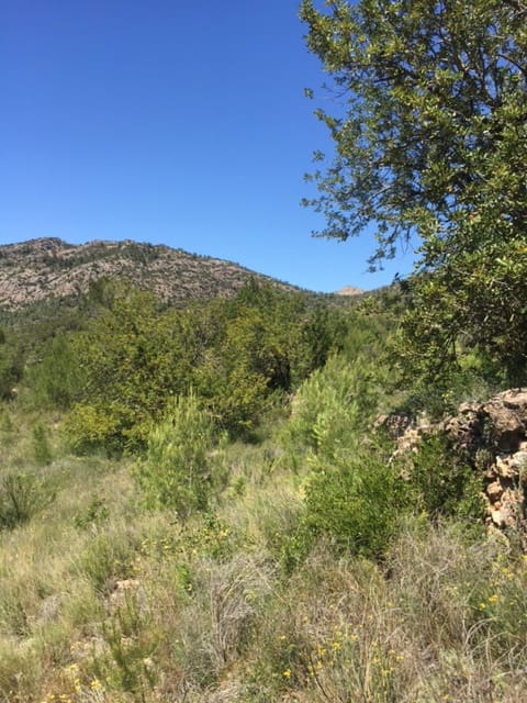 1 soveværelse Finca/Landehus til salg i Benifallet - € 25.000 (Ref: 5467060)