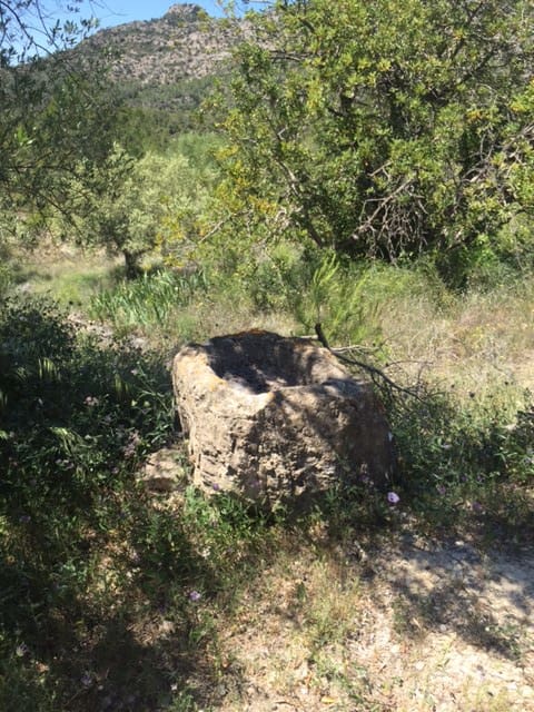 1 soveværelse Finca/Landehus til salg i Benifallet - € 25.000 (Ref: 5467060)