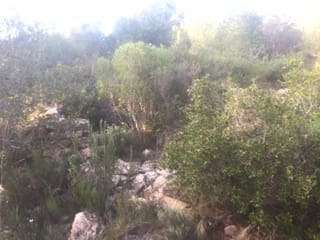 Finca/Landehus til salg i Benifallet - € 18.000 (Ref: 5467072)