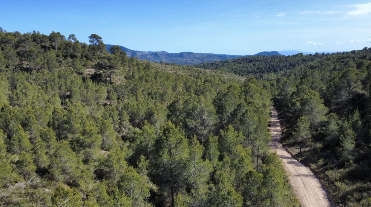 Finca/Hus på landet till salu i Benifallet - 20 000 € (Ref: 5467072)