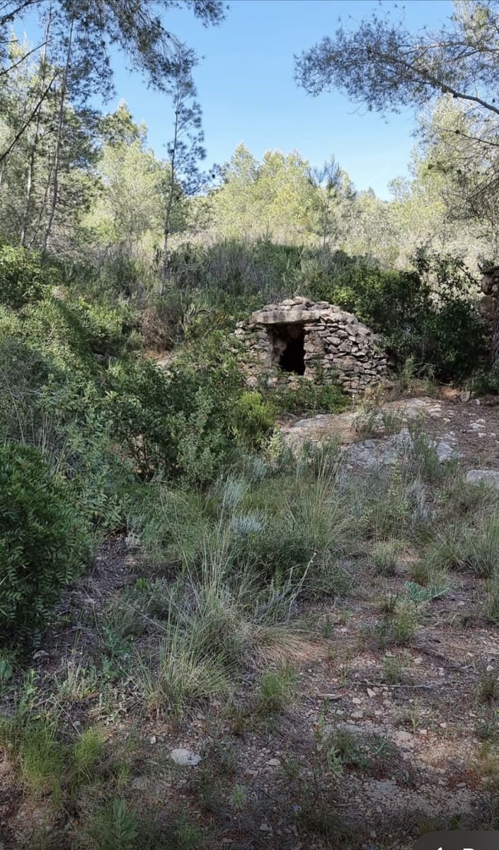 Finca/Hus på landet till salu i Benifallet - 20 000 € (Ref: 5467072)