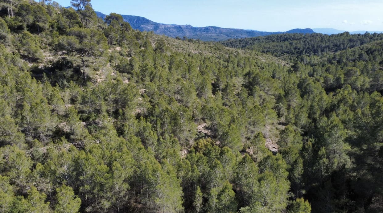 Finca/Hus på landet till salu i Benifallet - 20 000 € (Ref: 5467072)