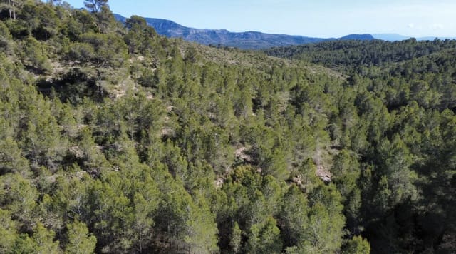 Finca/Country House for sale in Benifallet - € 20,000 (Ref: 5467072)