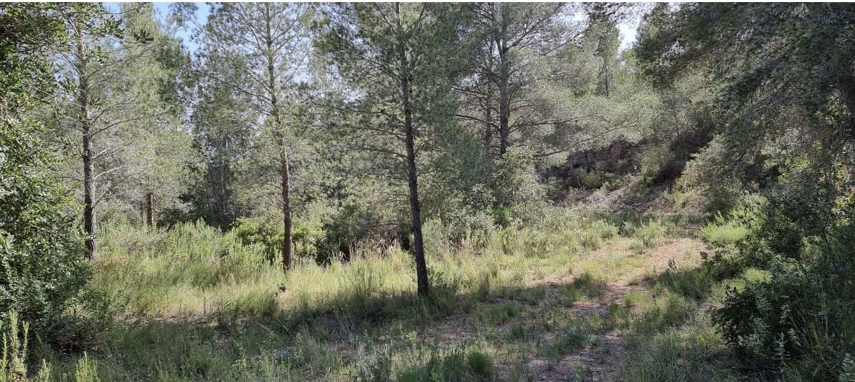 Finca/Hus på landet till salu i Benifallet - 20 000 € (Ref: 5467072)