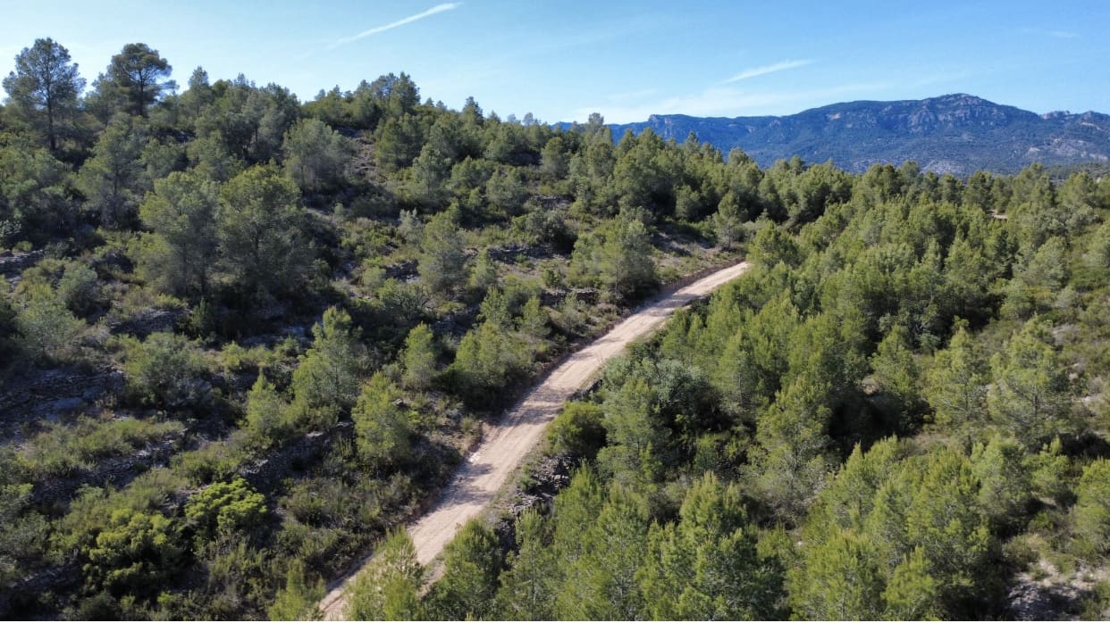 Finca/Hus på landet till salu i Benifallet - 20 000 € (Ref: 5467072)