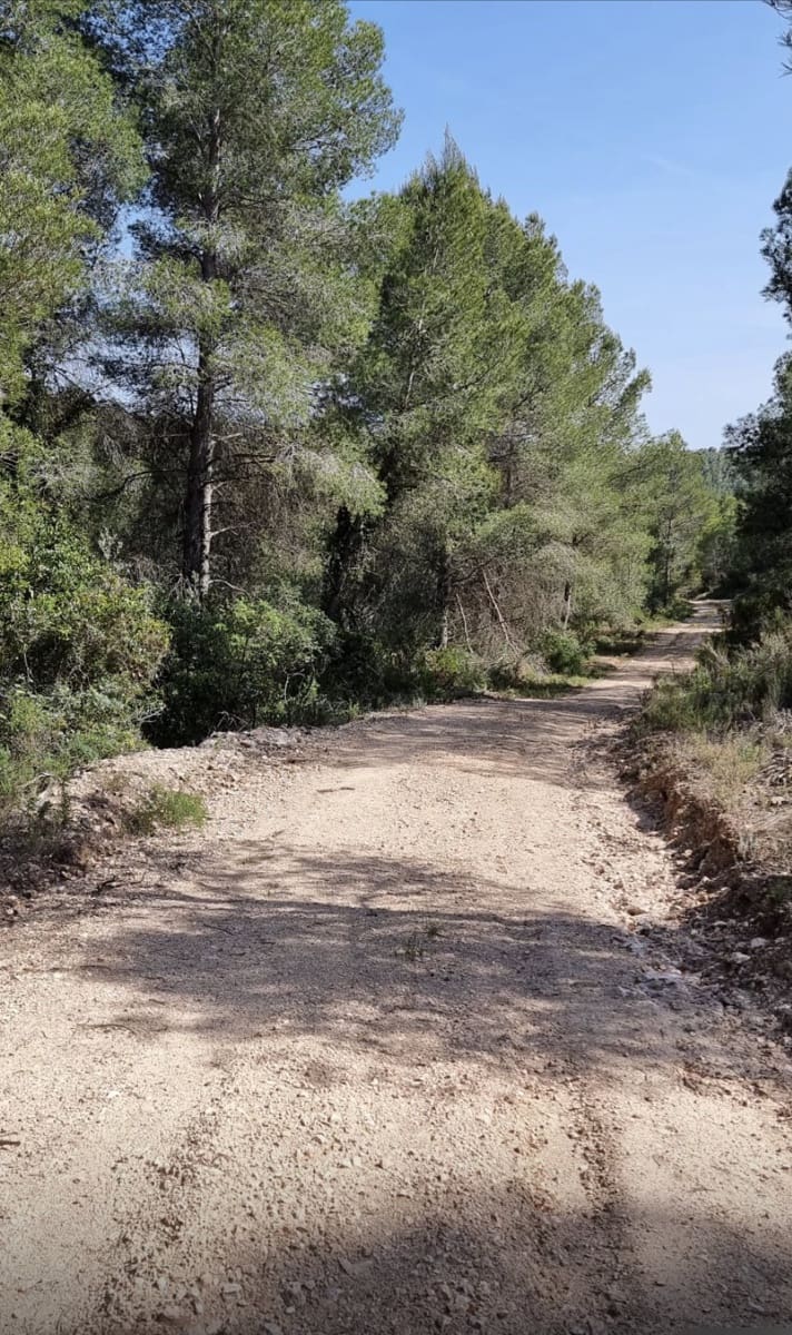 Finca/Casa Rural en Benifallet en venta - 20.000 € (Ref: 5467072)