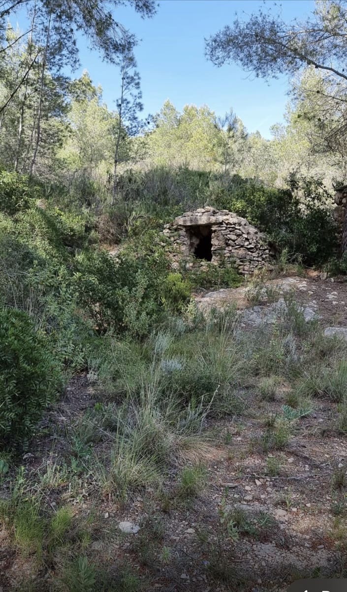 Finca/Casa Rural en Benifallet en venta - 20.000 € (Ref: 5467072)