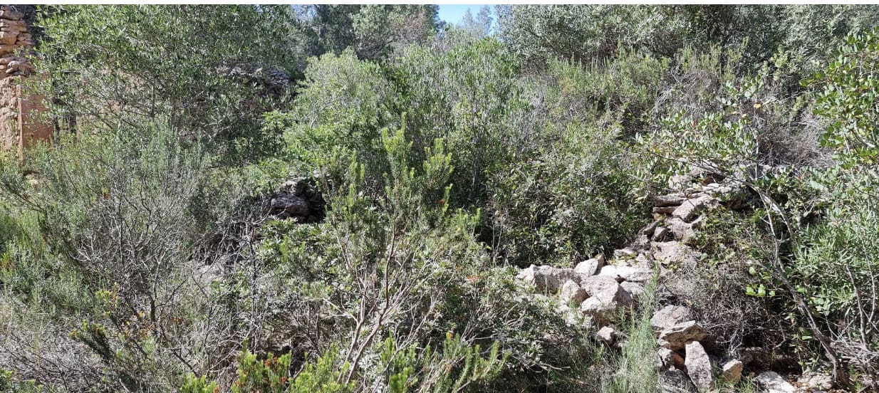 Finca/Casa Rural en Benifallet en venta - 20.000 € (Ref: 5467072)