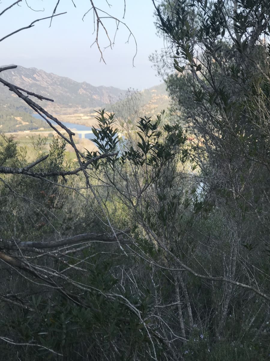 Finca/Hus på landet till salu i Benifallet - 16 000 € (Ref: 5467109)