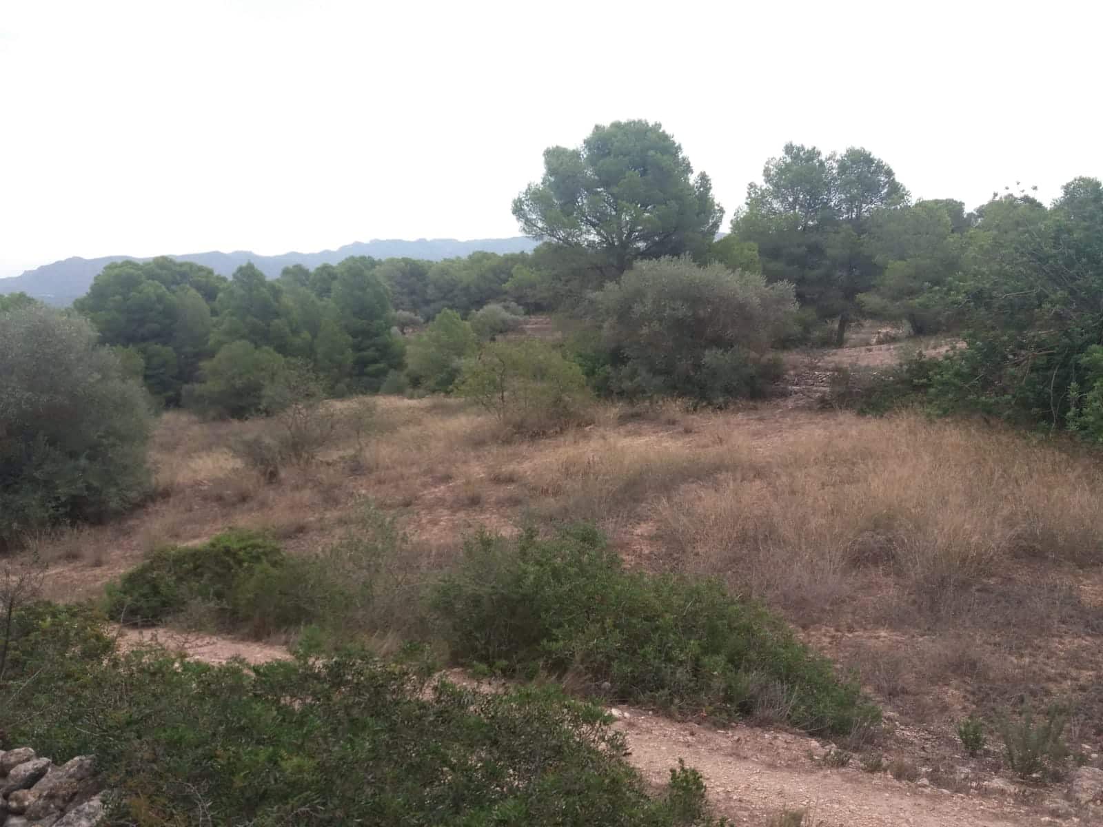 Finca/Maison de Campagne à vendre à Rasquera - 68 000 € (Ref: 5467119)