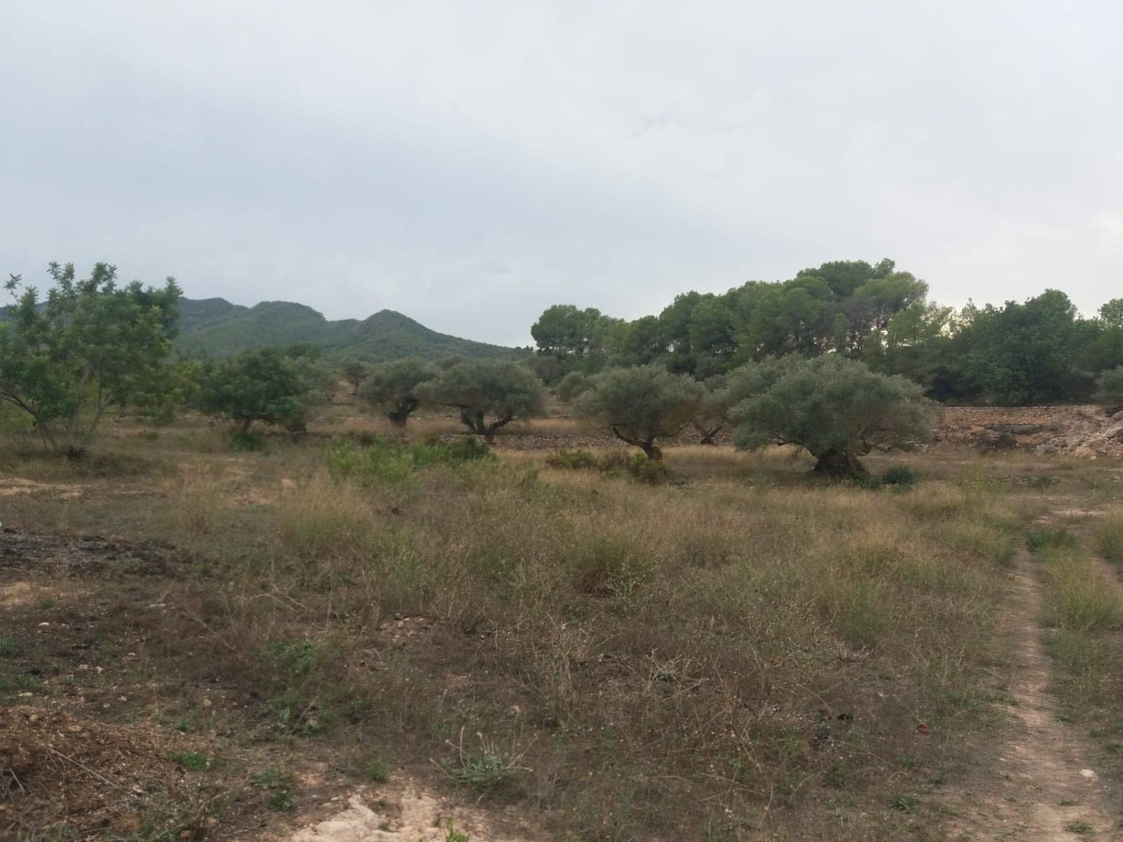 Finca/Maison de Campagne à vendre à Rasquera - 68 000 € (Ref: 5467119)