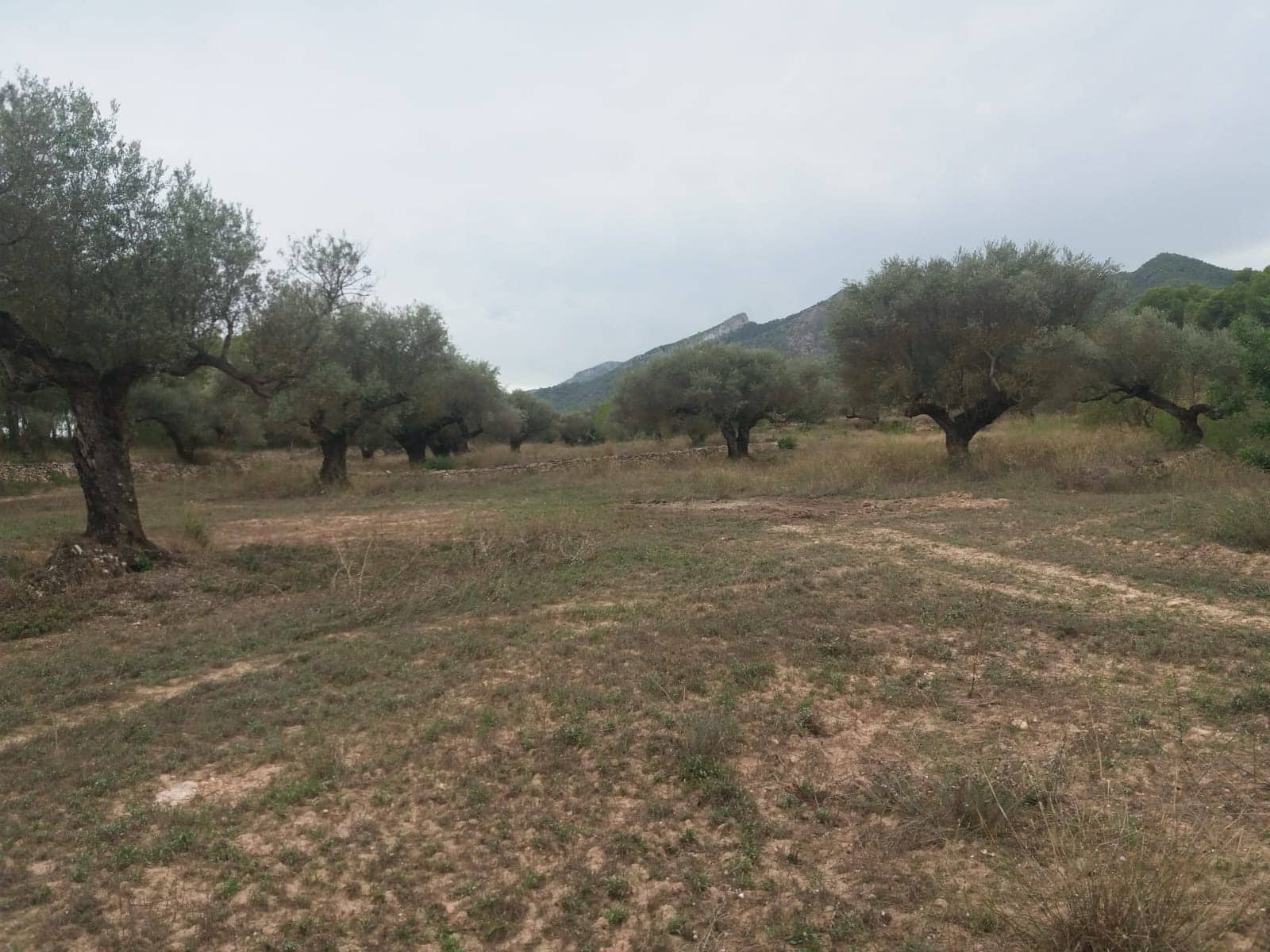 Finca/Maison de Campagne à vendre à Rasquera - 68 000 € (Ref: 5467119)