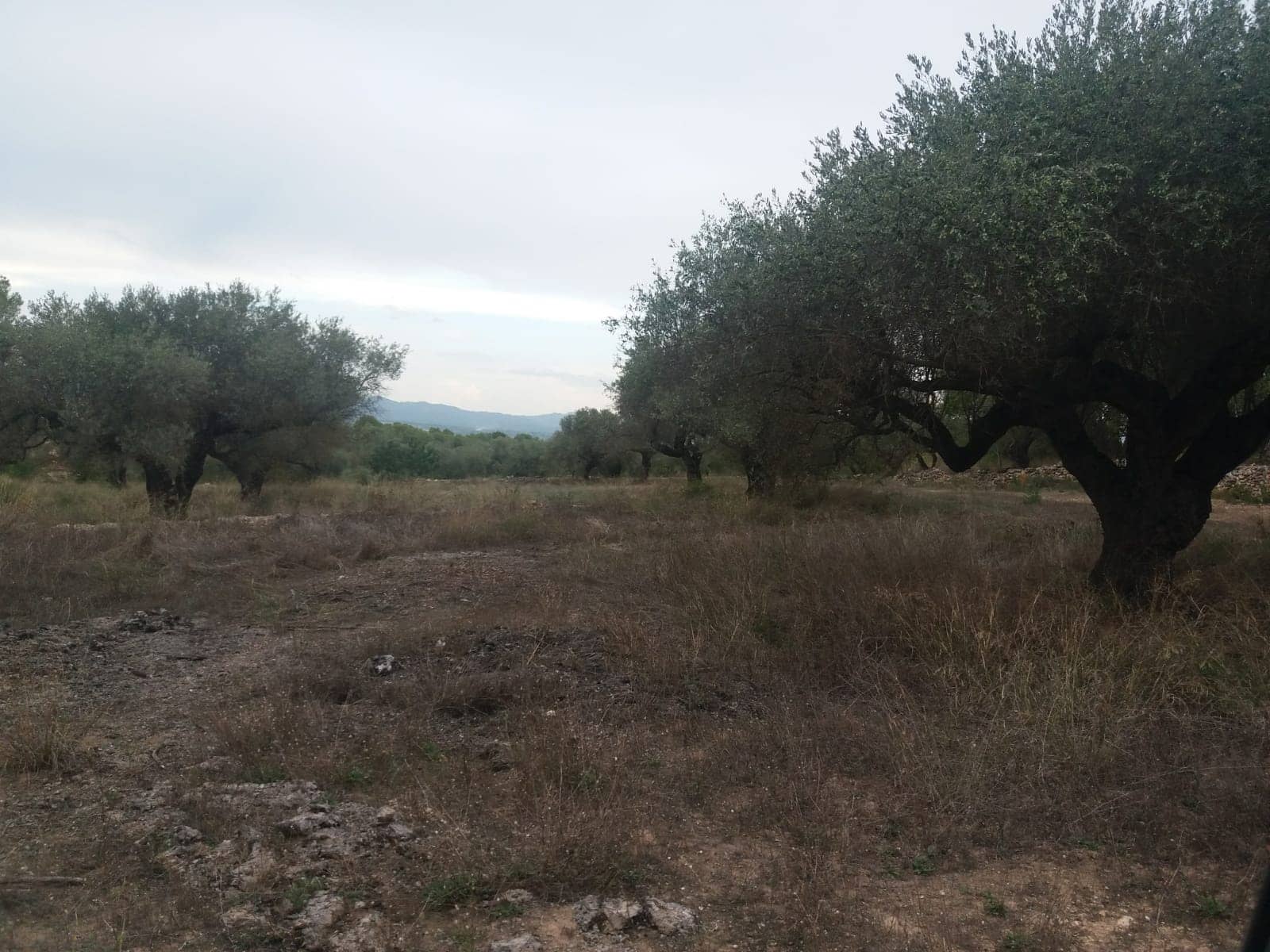 Finca/Maison de Campagne à vendre à Rasquera - 68 000 € (Ref: 5467119)