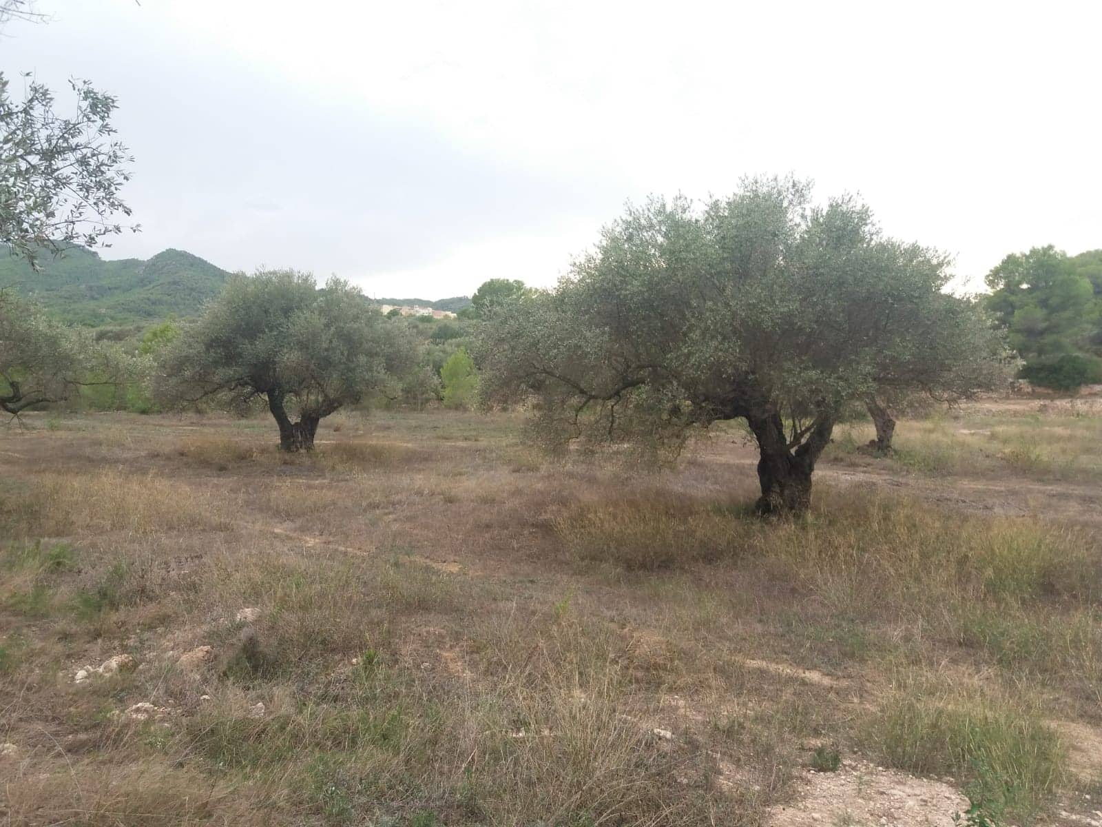 Finca/Maison de Campagne à vendre à Rasquera - 68 000 € (Ref: 5467119)