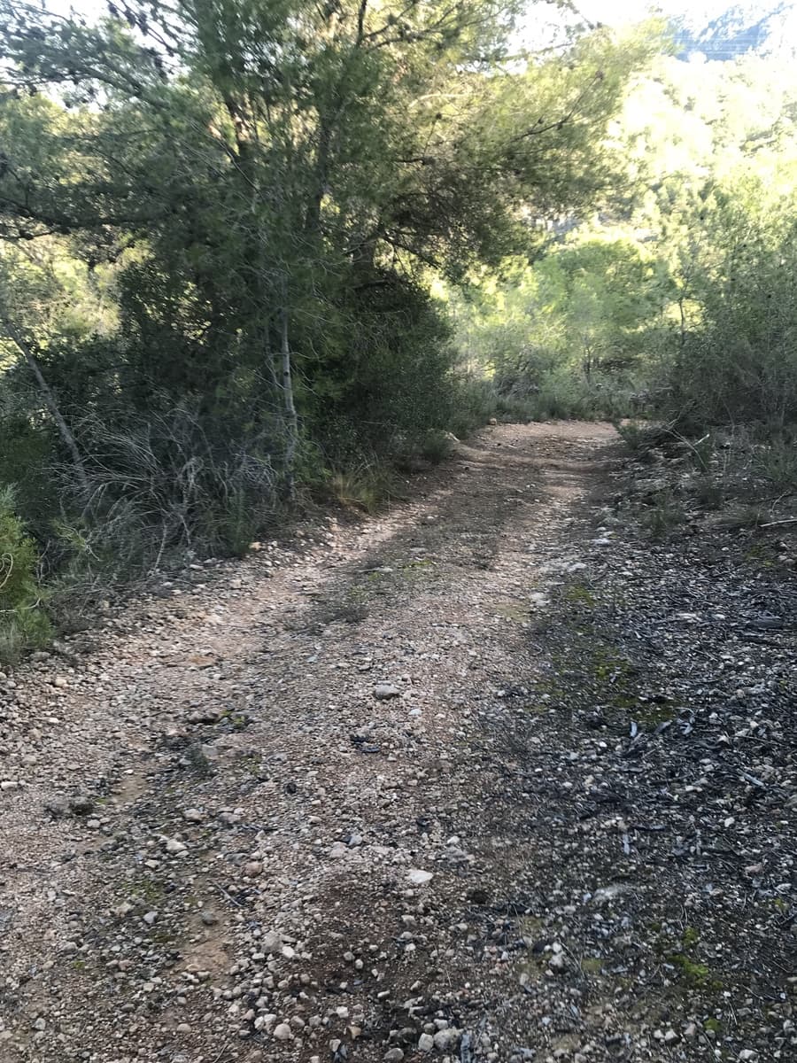 Finca/Hus på landet till salu i Benifallet - 12 000 € (Ref: 5884754)