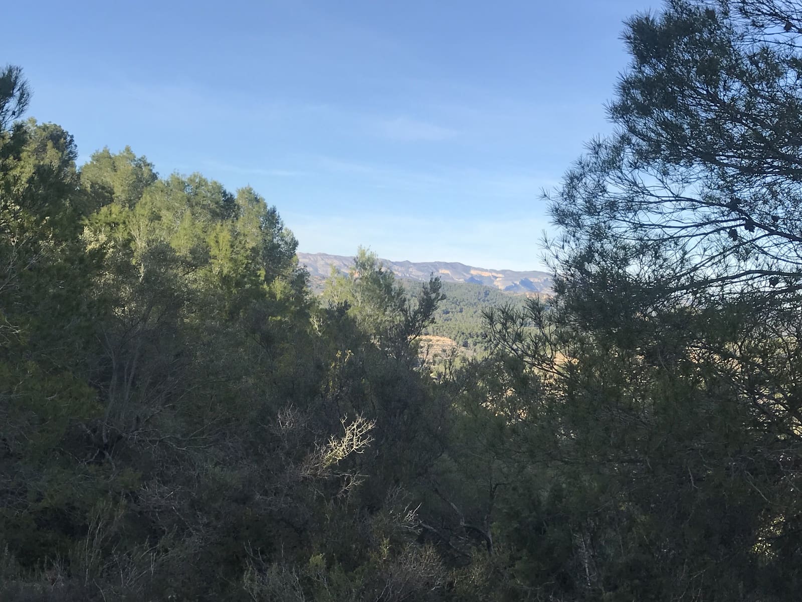 Finca/Hus på landet till salu i Benifallet - 12 000 € (Ref: 5884754)